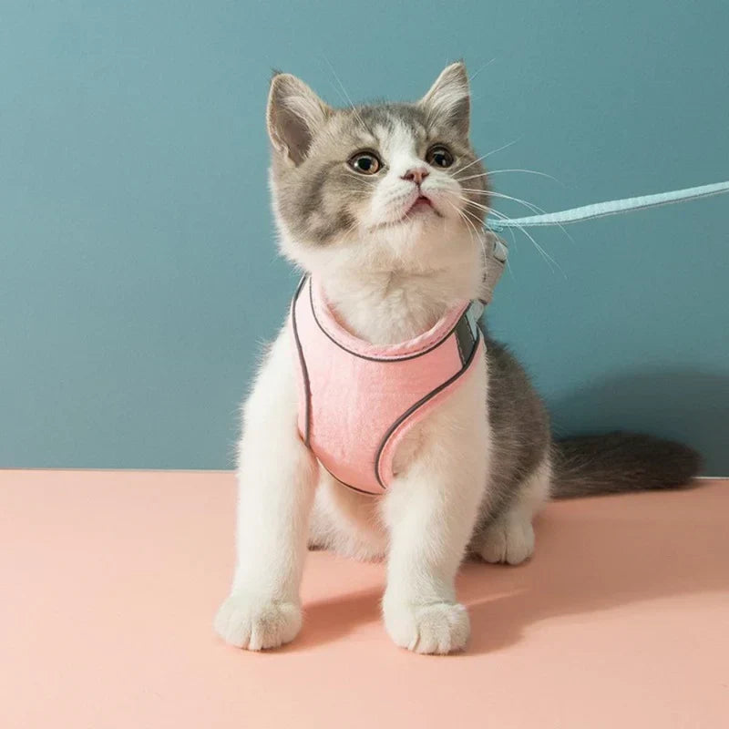 Reflective cat harness with leash, ensuring pet safety during night-time adventures