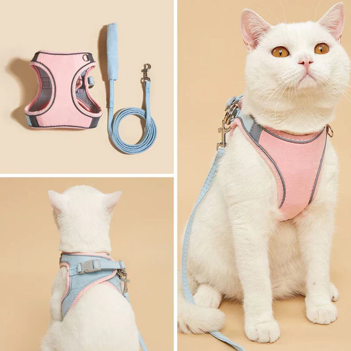 Durable cat safety harness with strong buckle, perfect for adventurous cats