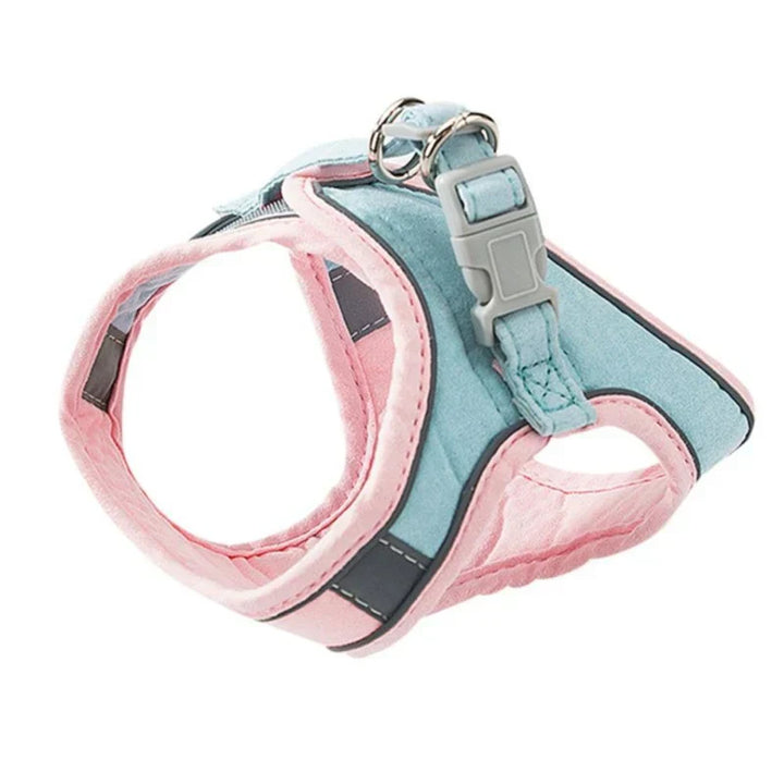 Black cat safety harness with silver reflective elements, ideal for evening walks