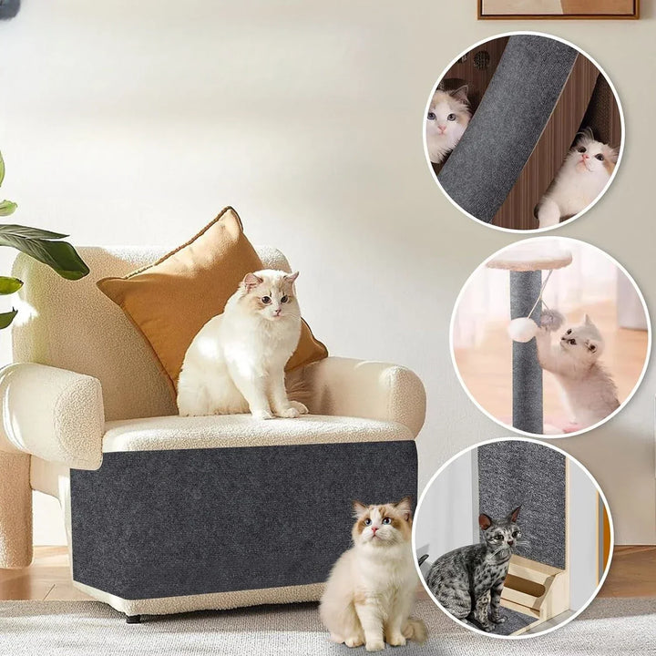 Cat scratching sofa protected by transparent adhesive furniture protector sheet