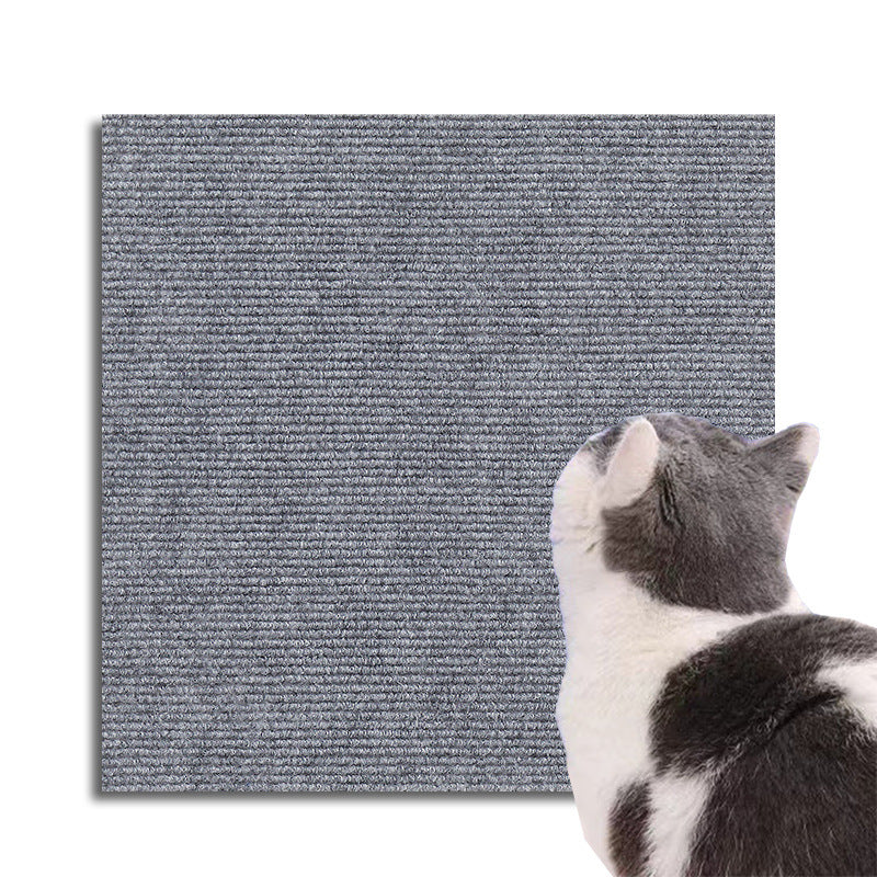 View of a cat's paw near a couch, highlighting the invisible scratch protector