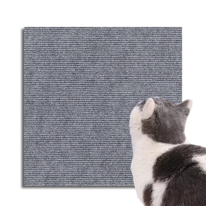 View of a cat's paw near a couch, highlighting the invisible scratch protector