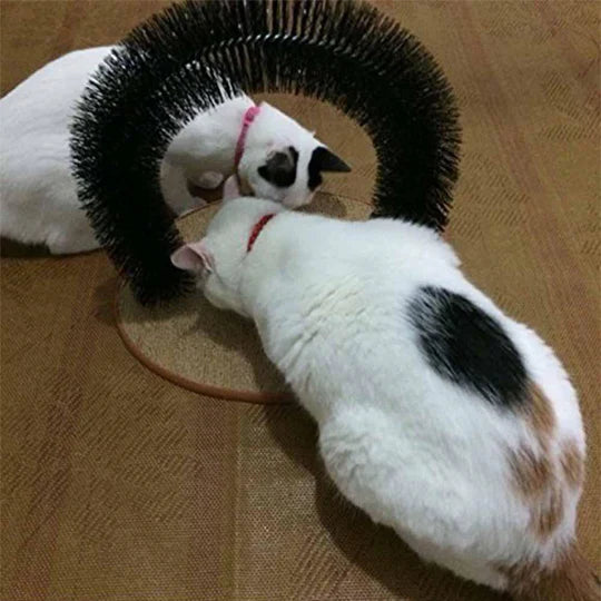 Close-up of a cat rubbing against a durable self-grooming arch massager for pet care