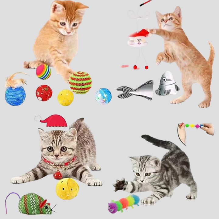 Interactive Cat Toy Advent Calendar, a fun 24-day countdown gift for cats. Feline holiday pet toy set.