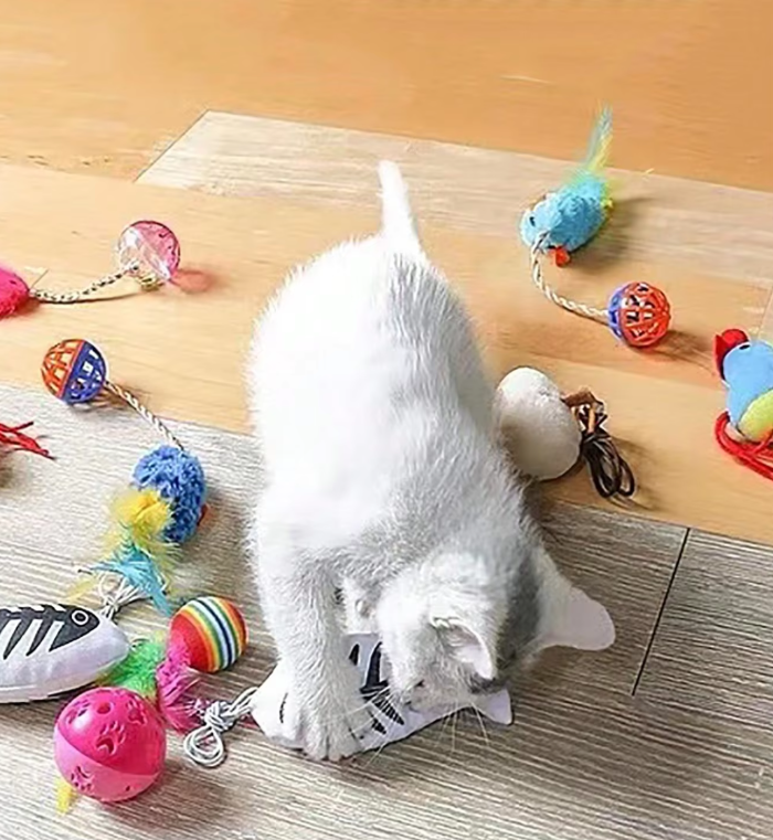 Cat toy set with plush mice and feather balls for interactive pet play