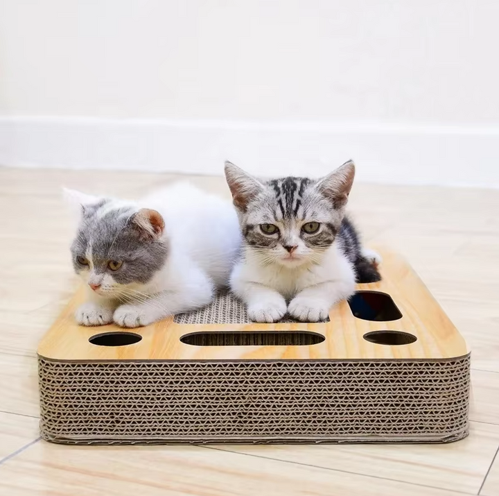 Cat playing with dangling toy on a durable corrugated cardboard scratching board