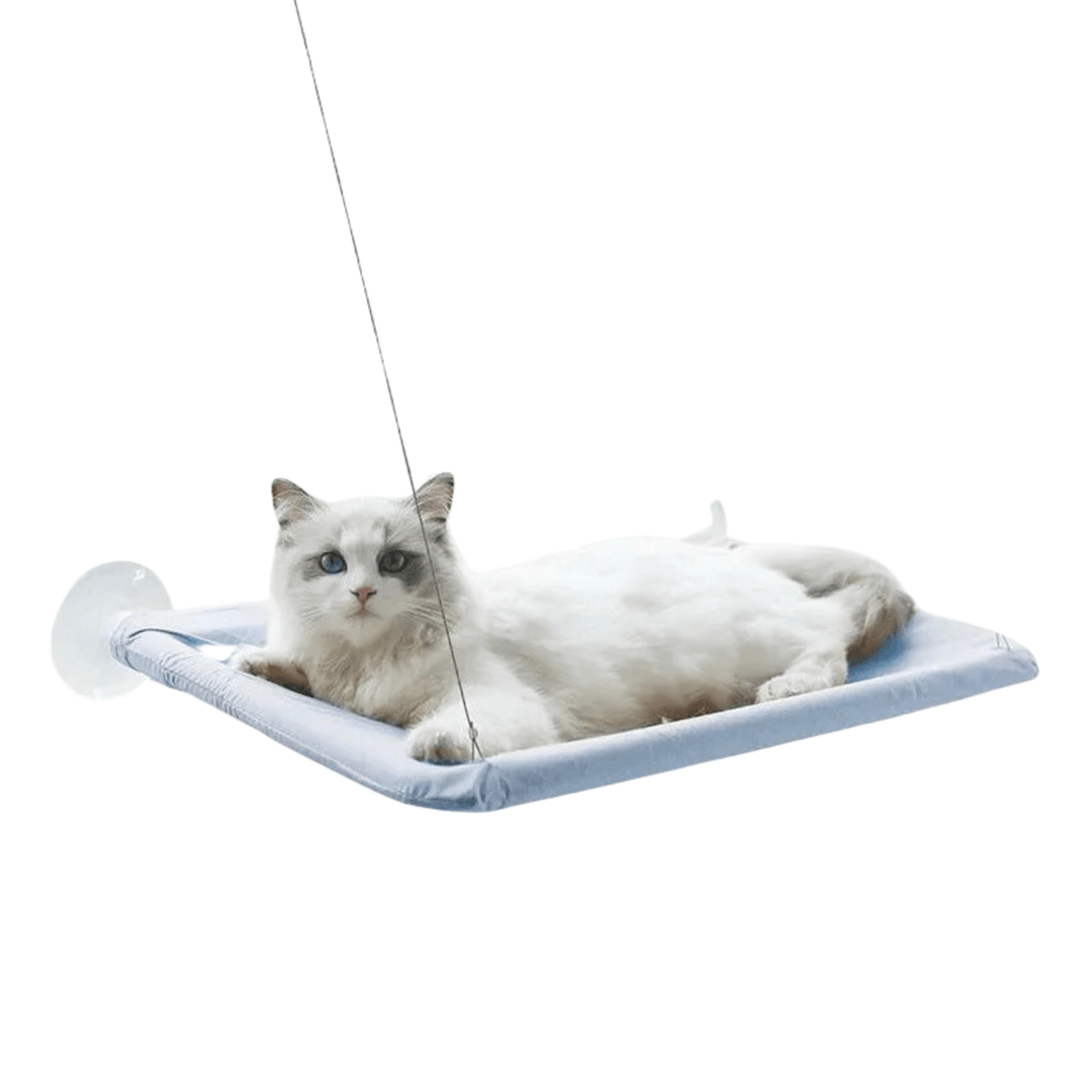 Close-up of cat window perch showing durable oxford fabric and secure suction cup attachment