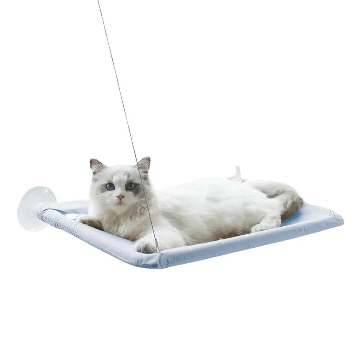 Close-up of cat window perch showing durable oxford fabric and secure suction cup attachment