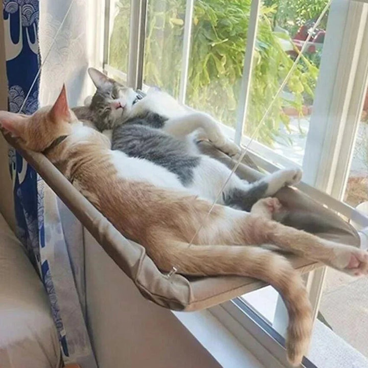 Empty cat window bed, a comfortable elevated cat hammock for sunbathing and sleeping