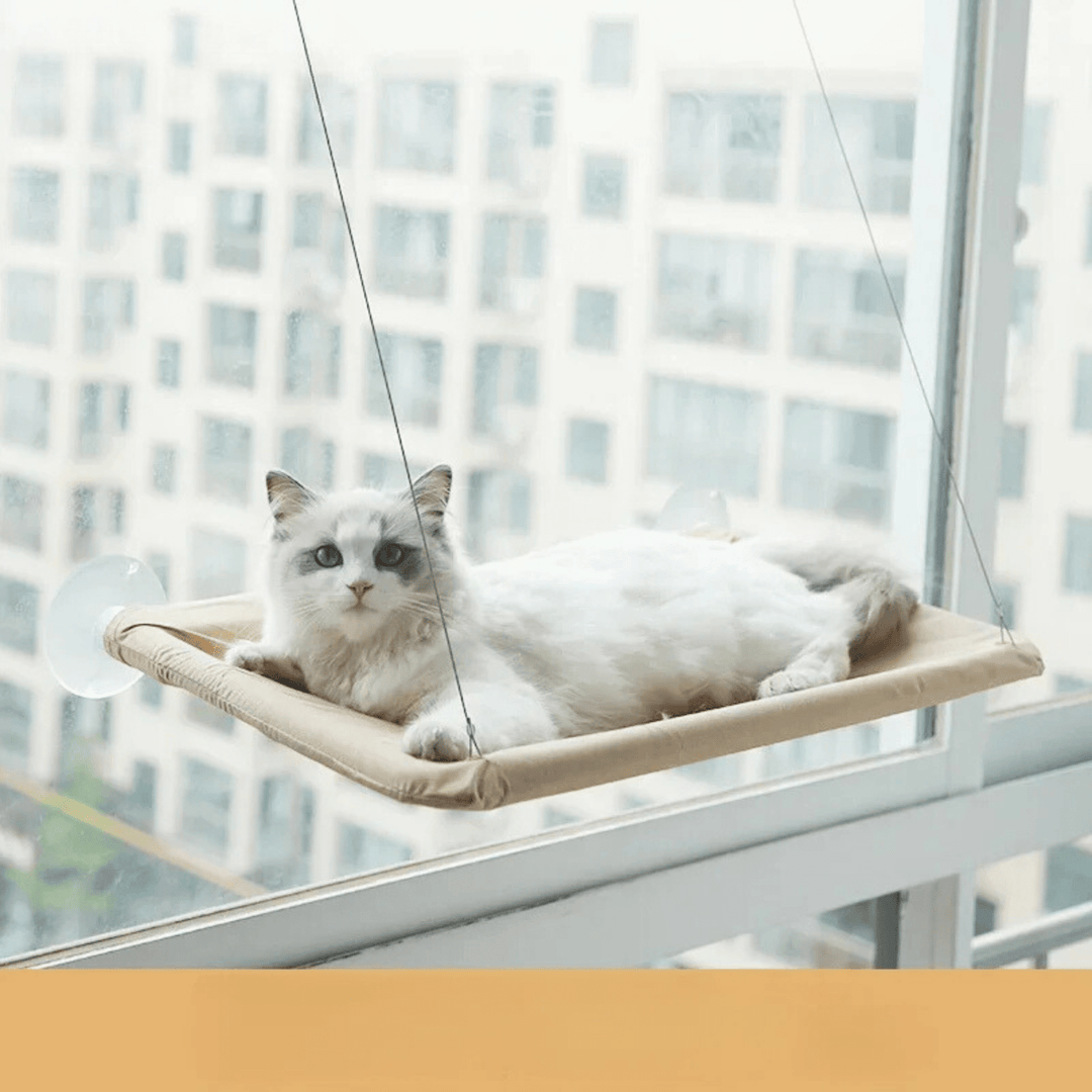 Cat accessory: window hammock for pets, an elevated cat bed with sturdy suction cup mounting