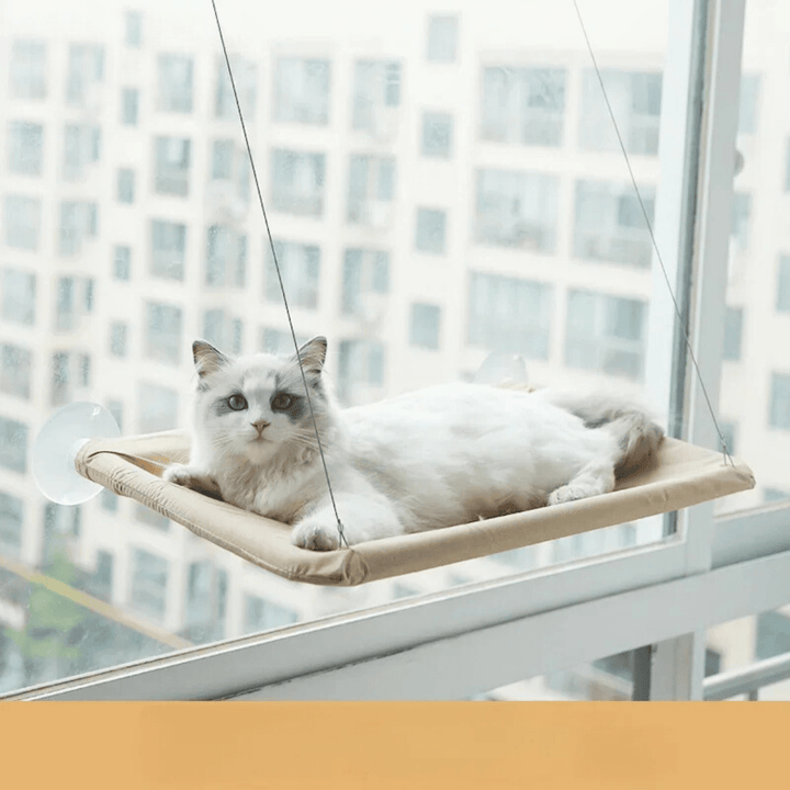 Cat accessory: window hammock for pets, an elevated cat bed with sturdy suction cup mounting