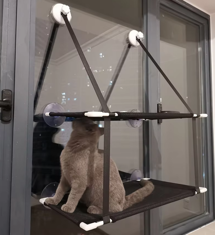 Cat window lounger with suction cups, offering a space-saving perch for feline relaxation and sunbathing.
