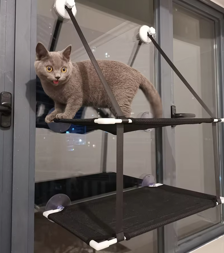 Space-saving cat window perch, a cozy pet accessory with strong suction cups for easy installation on glass.