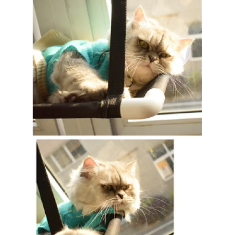 Cat lounger for window, providing an elevated and secure spot for cats to rest, complete with reliable suction cups.