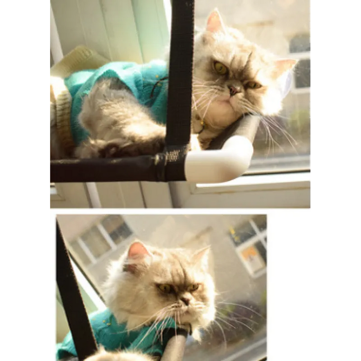 Cat lounger for window, providing an elevated and secure spot for cats to rest, complete with reliable suction cups.