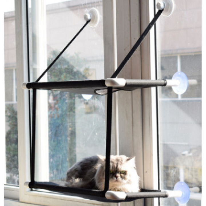 Window cat bed for small spaces, a practical pet accessory with heavy-duty suction cups, maximizing floor space.