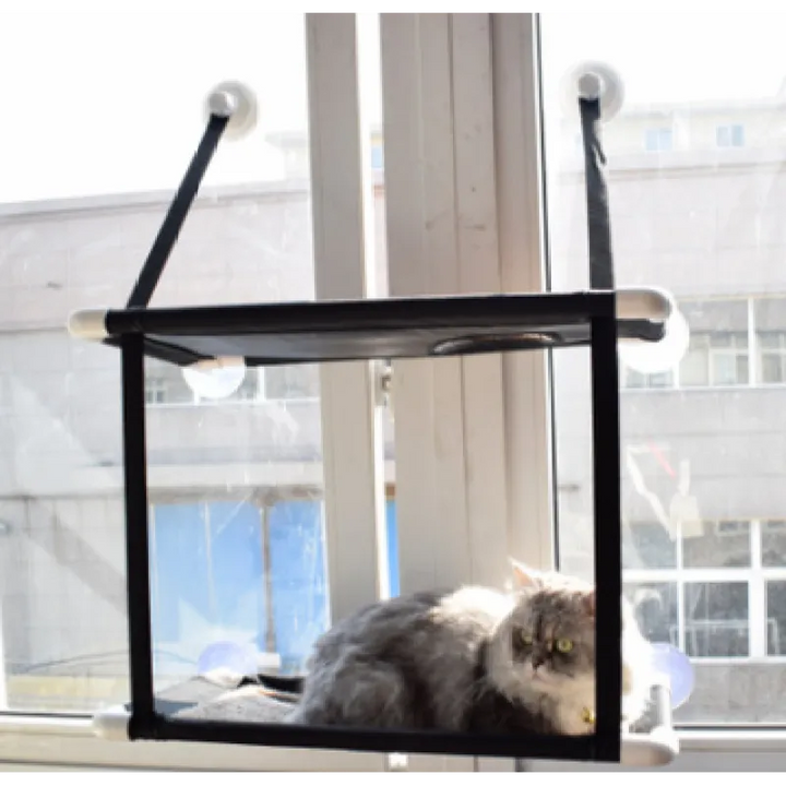 Comfortable cat window perch, ideal for curious felines, with robust suction cup attachment and soft fabric.