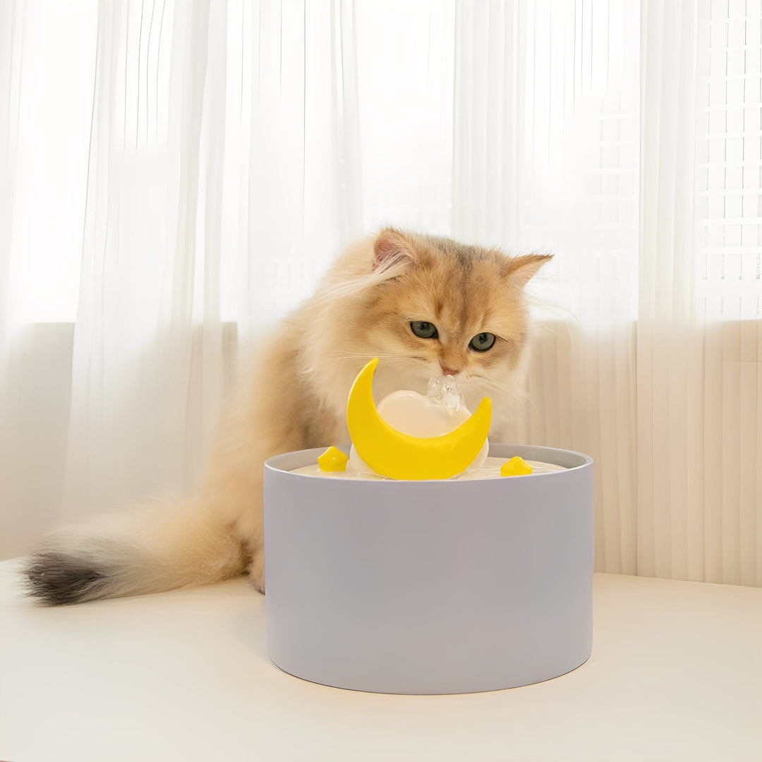 Quiet ceramic pet water dispenser, elegant design, encouraging pets to drink more water