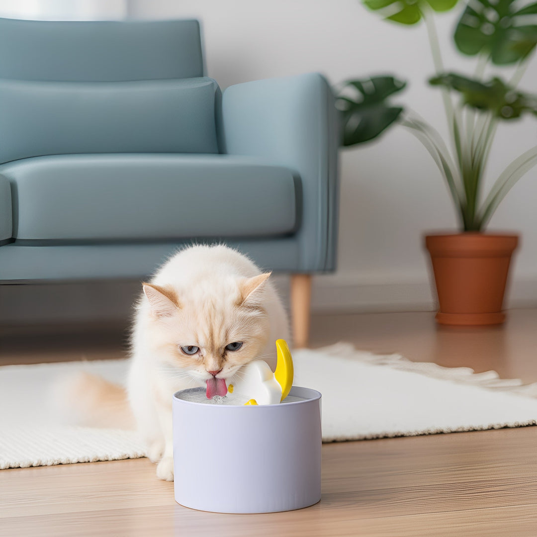 Filtered pet fountain in ceramic, ensuring clean hydration for cats and small dogs