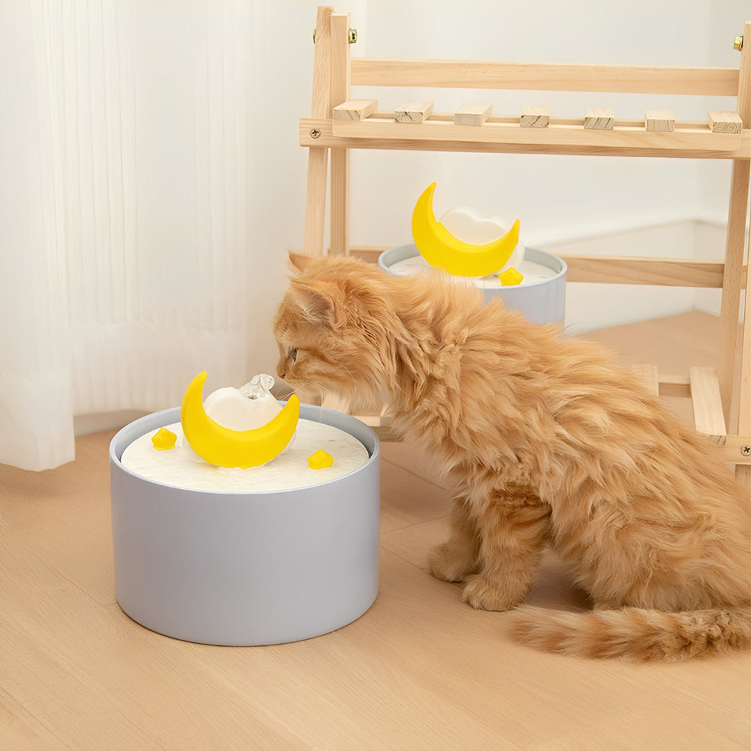 Pet water dispenser made of ceramic, quiet operation, ideal for feline hydration