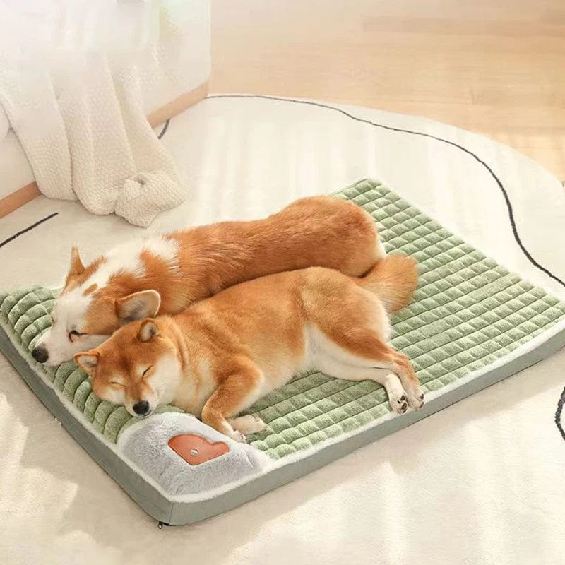 Small pet bolster bed with removable cover, ideal for dogs.