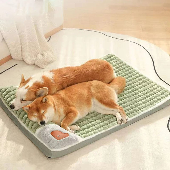Small pet bolster bed with removable cover, ideal for dogs.