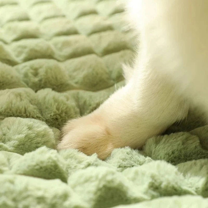 Washable dog bed with soft faux fur, perfect for four-season use.