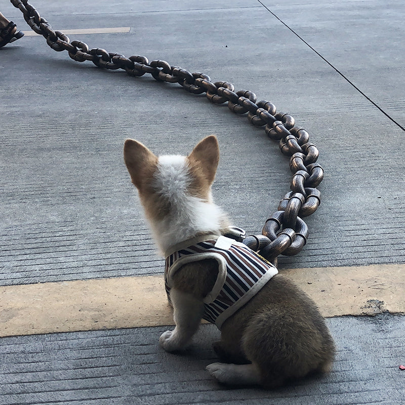 Elegant chain link dog leash, a premium pet accessory for discerning animal lovers.