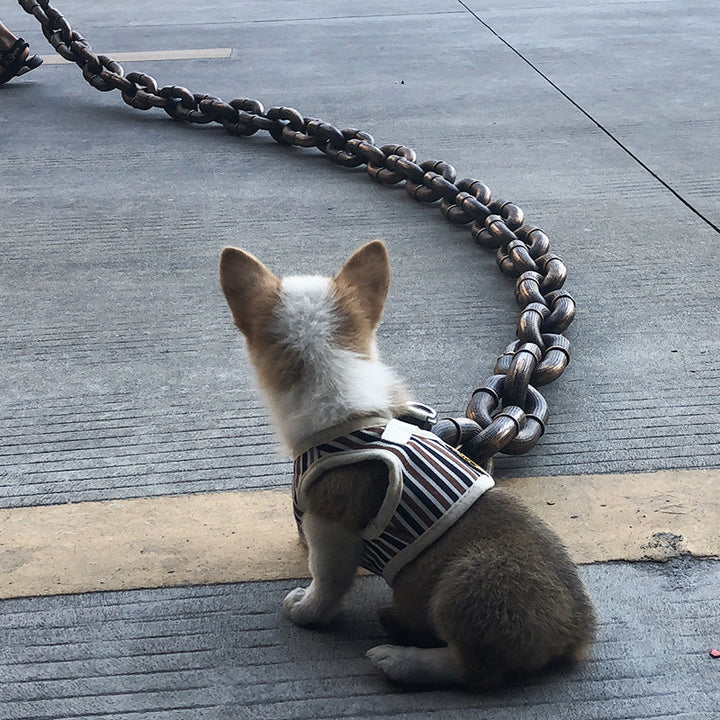 Elegant chain link dog leash, a premium pet accessory for discerning animal lovers.