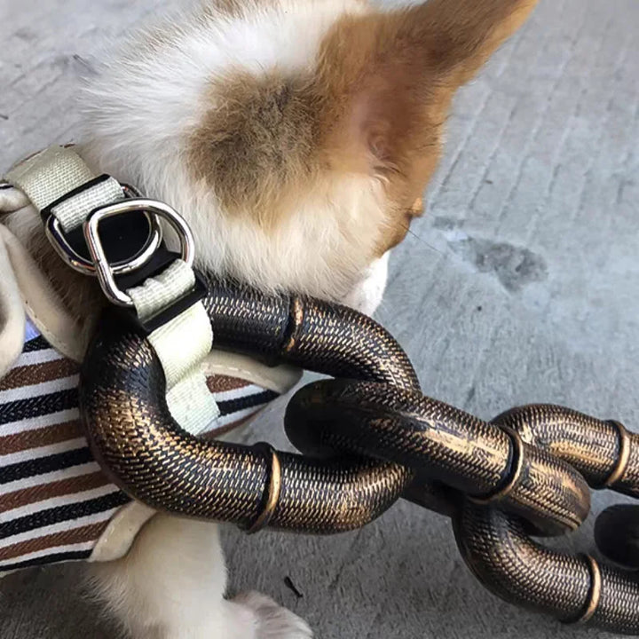 Fashionable chain link dog leash showcasing strength and elegant pet gear.