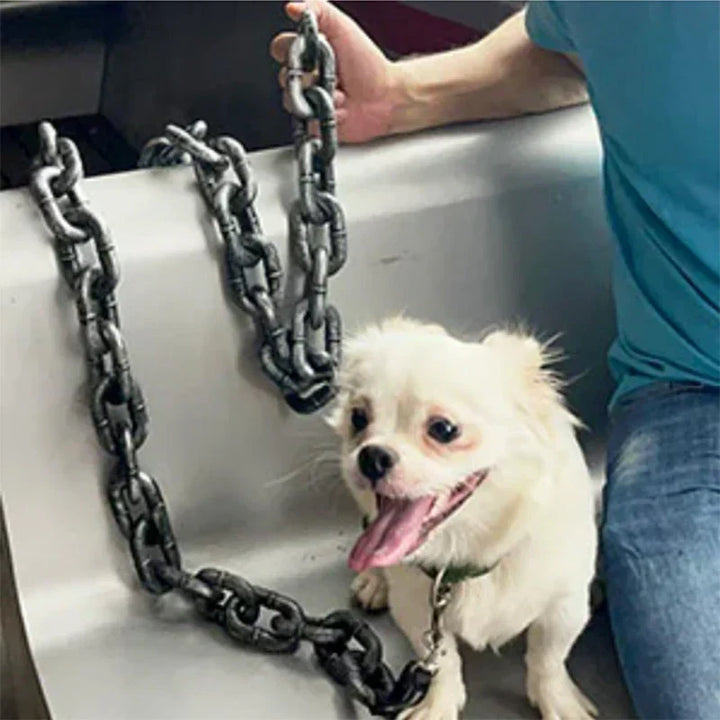 Braided chain link dog leash, combining durability with a chic aesthetic for pets.