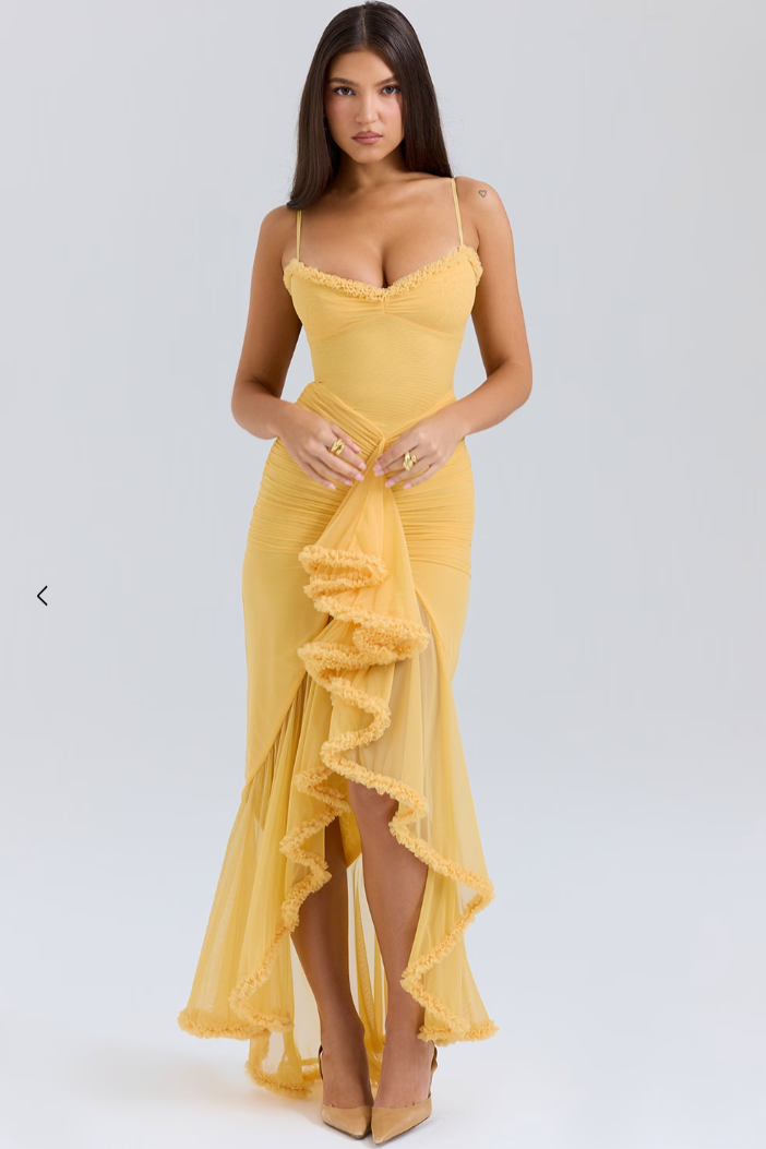 Chic Ruffle Maxi Dress, perfect wedding guest attire. Elegant women's formal dress for special occasions.