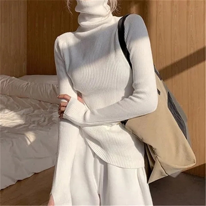 Stylish women's turtleneck knit pullover with a flattering fit for casual or dressy looks.