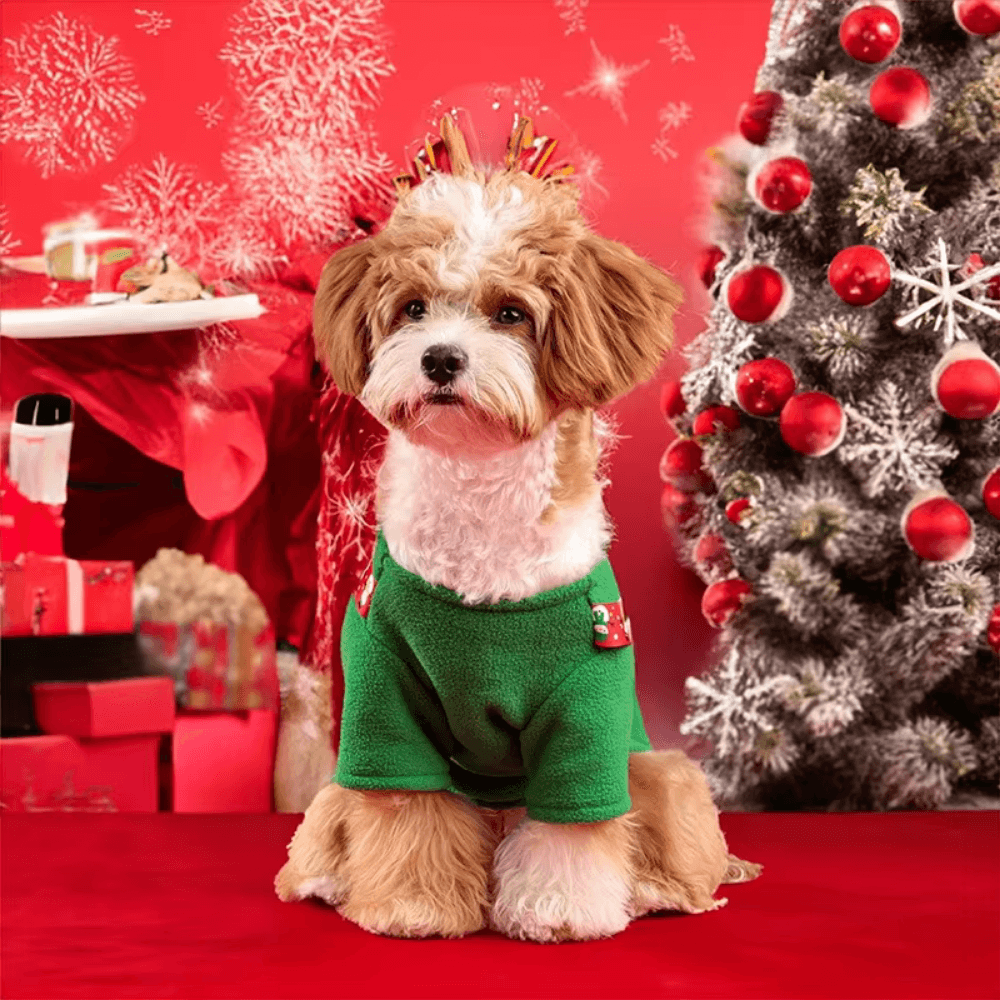Christmas Elk Pet Dress for small dog, red with white trim, cute holiday outfit pet apparel