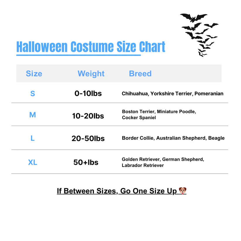 Pet supply: Chucky dog clothing, durable and washable design