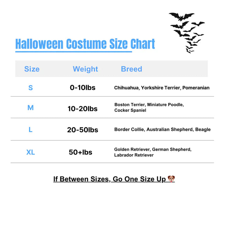 Pet supply: Chucky dog clothing, durable and washable design