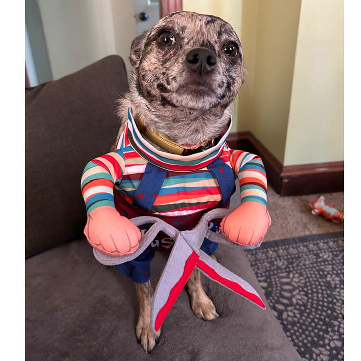 Unisex pet Chucky costume, detailed and vibrant colors for photos