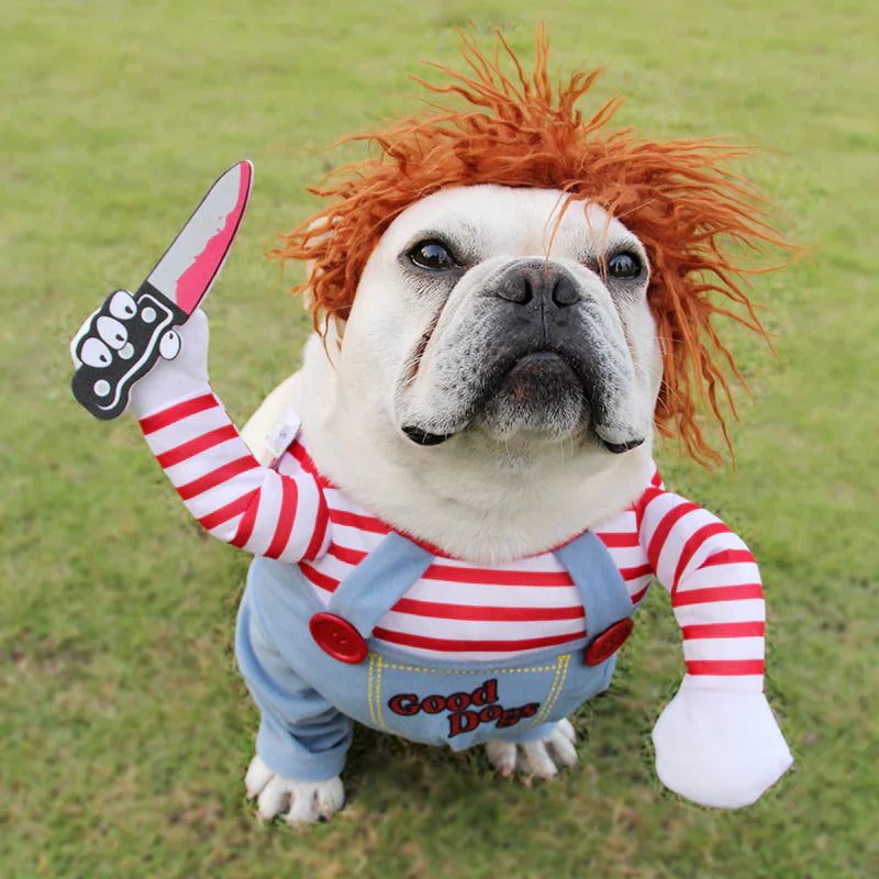 Chucky Halloween cat costume, pet-friendly fabric with wig and jumpsuit