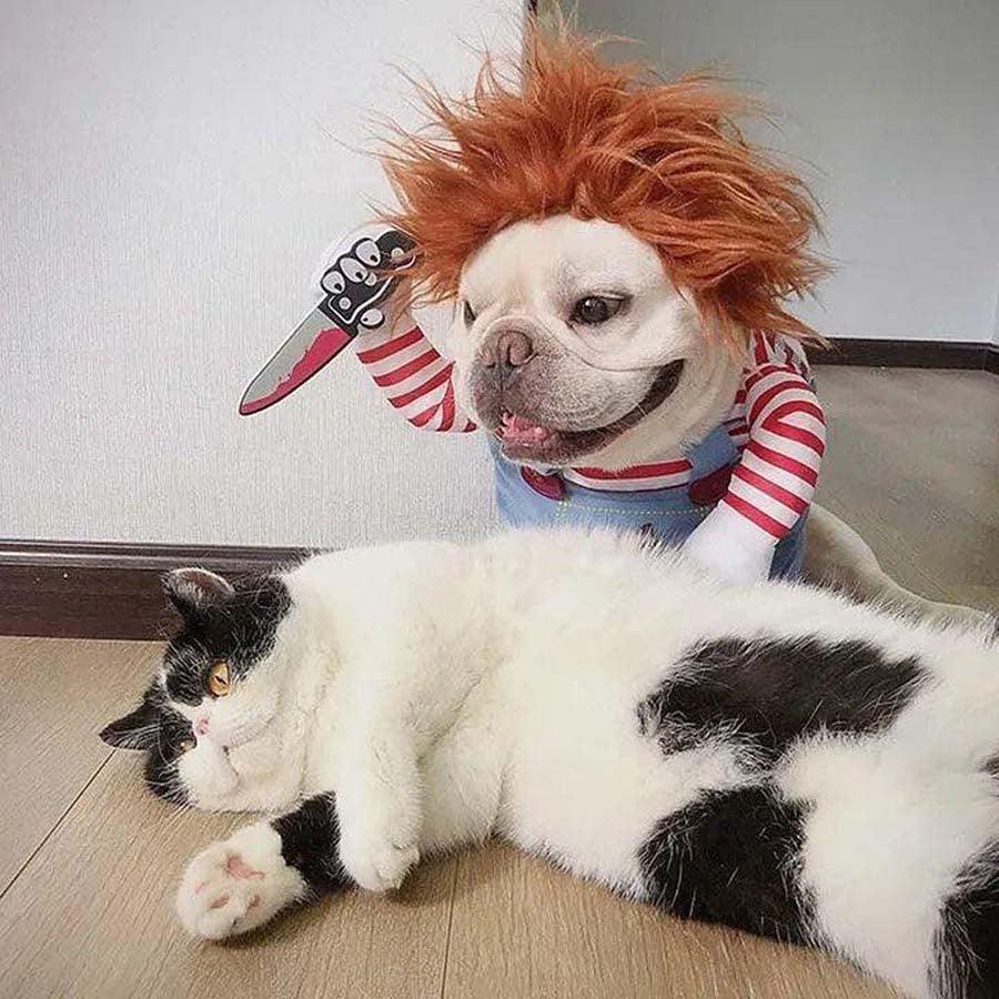 Funny pet Chucky costume, horror movie theme for dogs and cats
