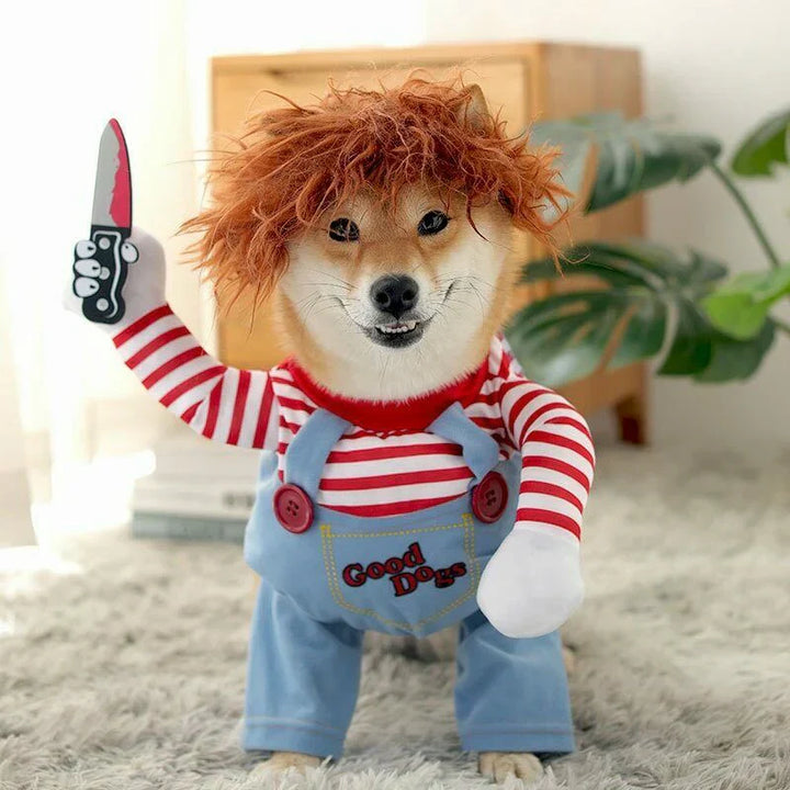 Pet Chucky Halloween dog costume, perfect for small to medium breeds