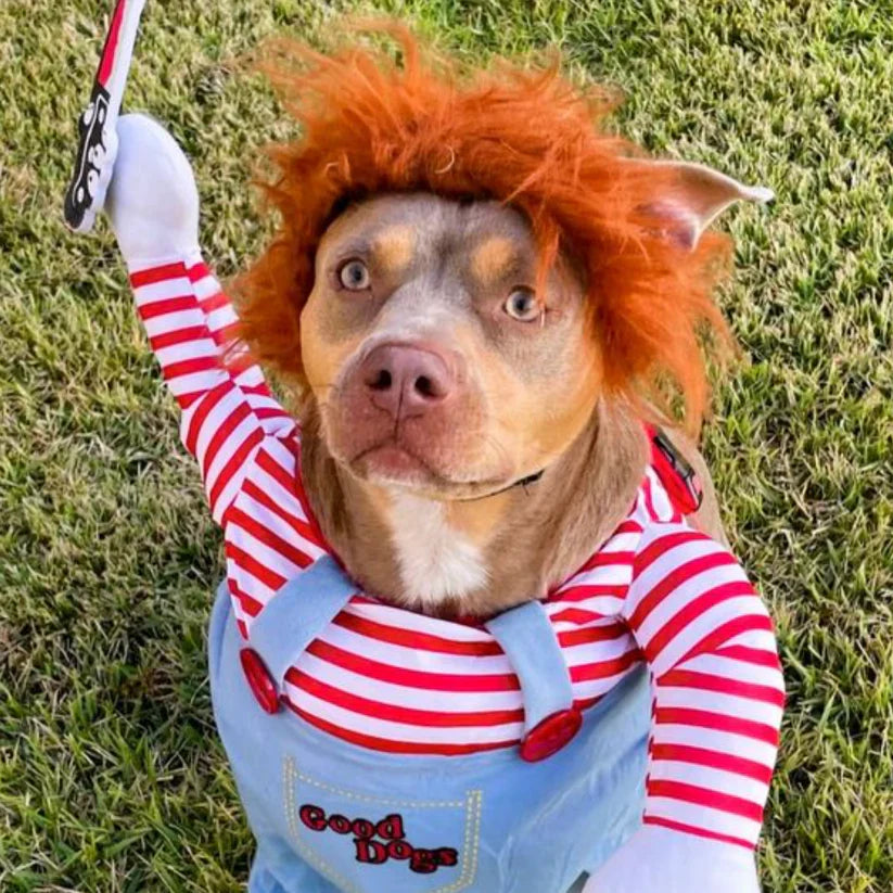 Horror pet apparel: Chucky dog costume, red and blue jumpsuit style