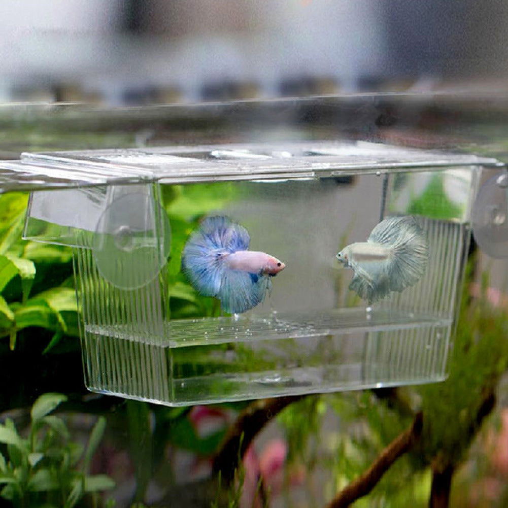 Aquarium breeding box for isolating fish and shrimp, essential for aquatic pets