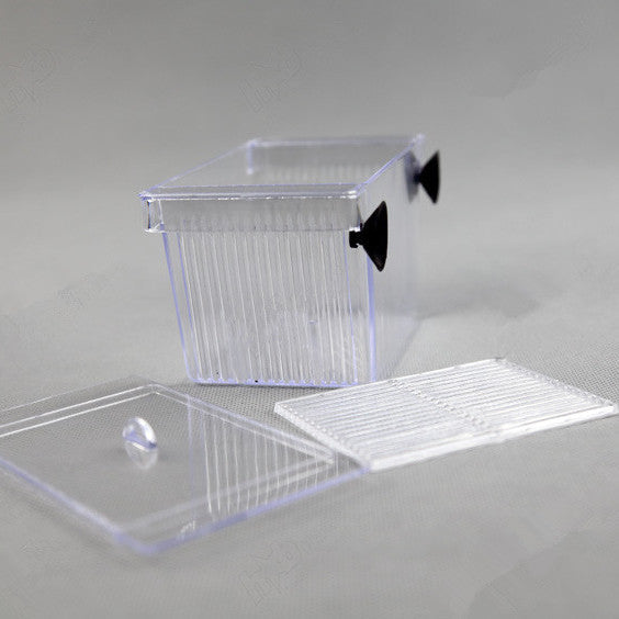 Transparent fish isolation box, ideal for breeding and protecting young aquatic pets