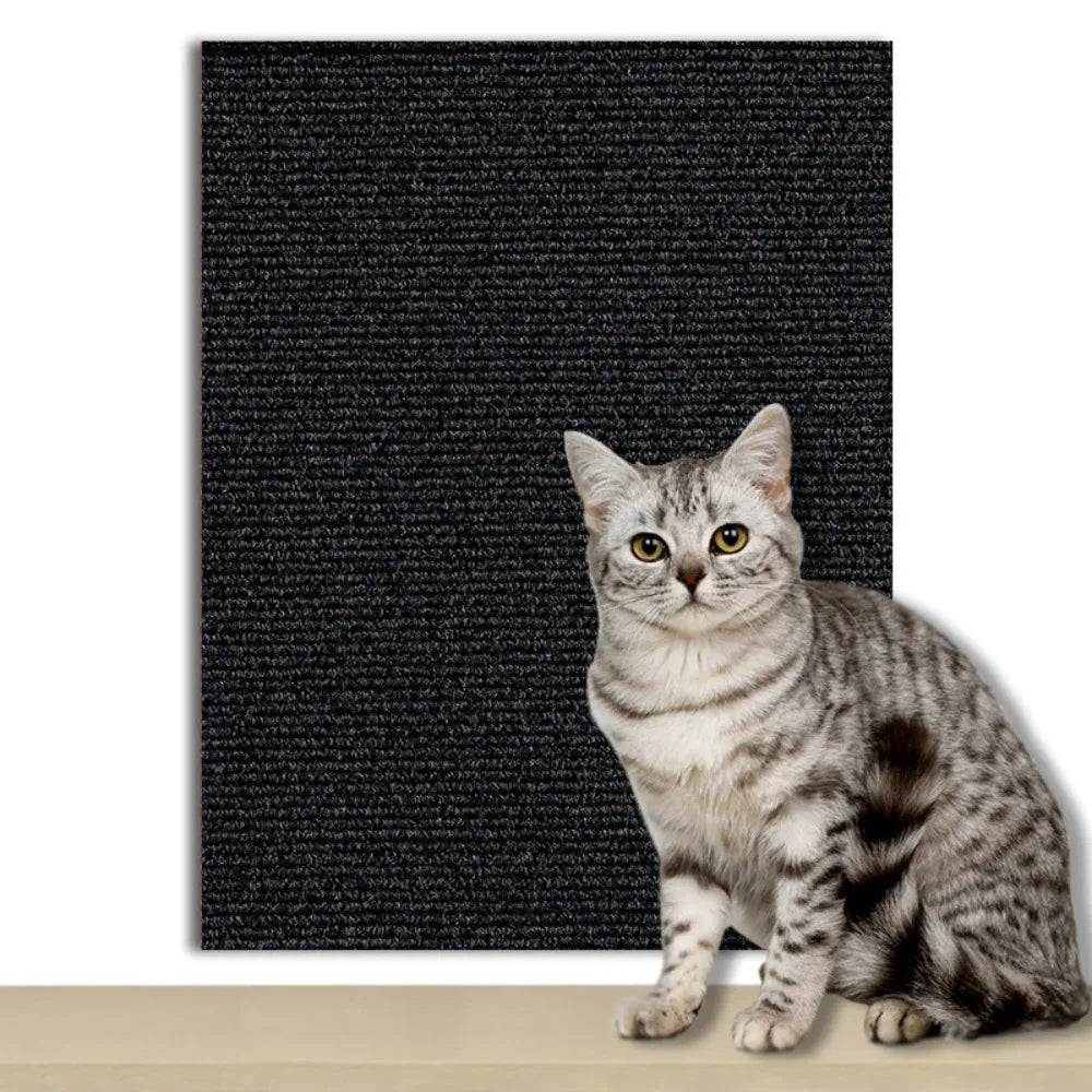 Transparent self-adhesive wall protector applied to a doorframe for cat scratch defense.