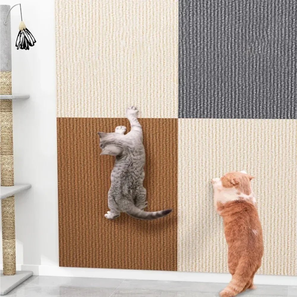 Transparent wall guard, self-adhesive, for cat scratch protection. Home defense against pets.