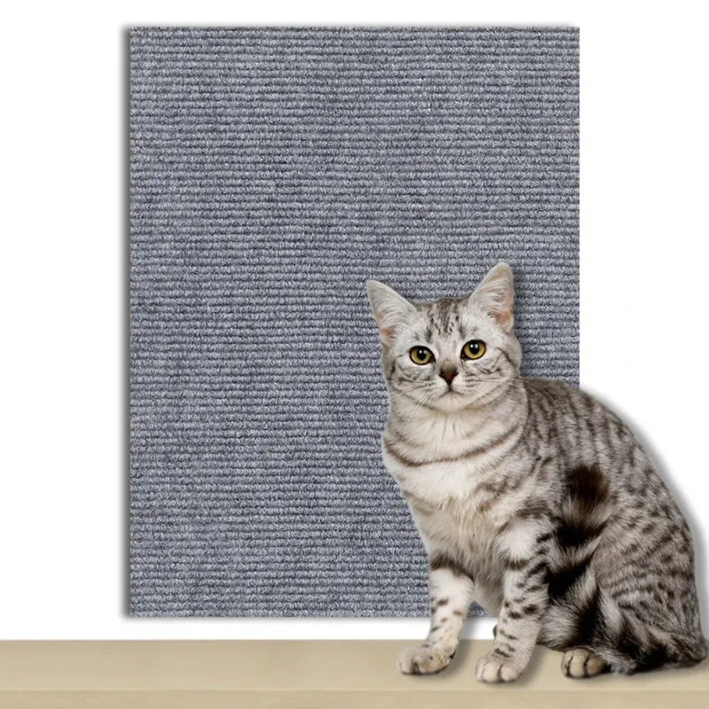 Pet supplies: Self-adhesive cat scratch protector roll for furniture and wall guard.