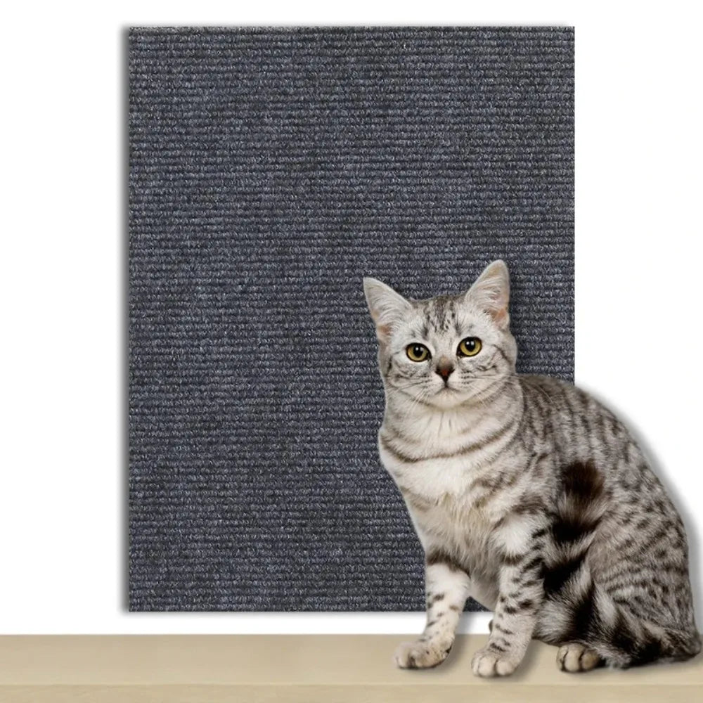 Self-adhesive anti-scratch film on sofa arm, protecting upholstery from cat claws.