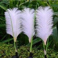Elegant Reed Garden Lights providing warm glow for garden decor & outdoor ambiance lighting.