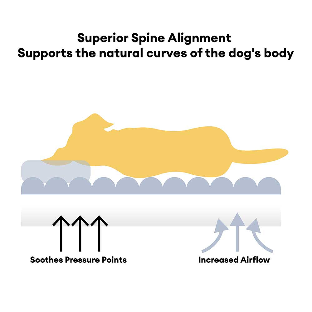 Cloudy Napper dog bed, a warm and cozy pet bed with a built-in headrest for support