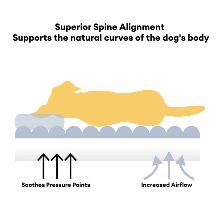 Cloudy Napper dog bed, a warm and cozy pet bed with a built-in headrest for support